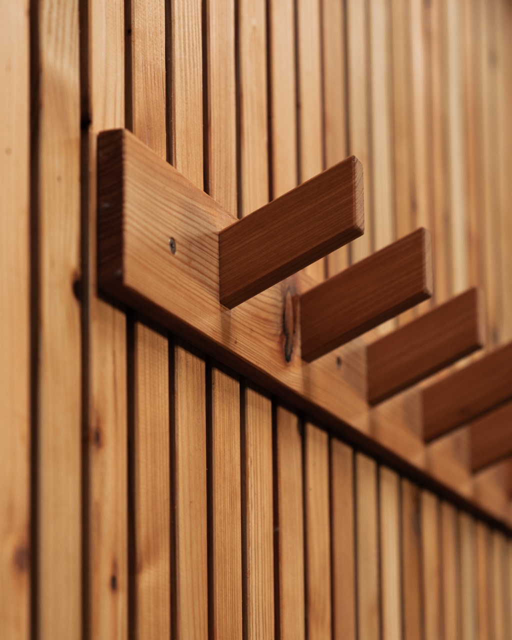 Coat hooks and robe pegs on the timber wall inside a horsebox sauna